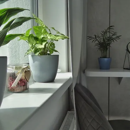 Apartamento Urban - Free Parking, Energy, Modern Style Bratislava